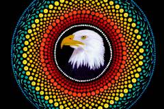 Bald Eagle Medicine